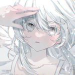 Yuki的头像-雪绒社